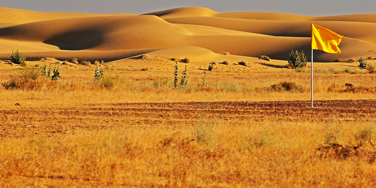 Desert National Park Rajasthan 